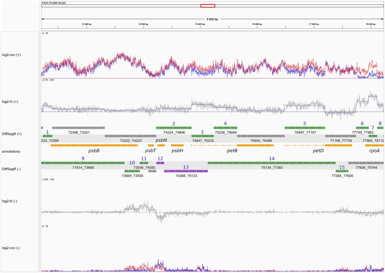 Analysis of the psbB-psbT-psbN-psbH-petB-petD gene cluster in the ribonuclease PNPase pnp1-1 mutant dataset. The tracks from top to bottom represent: (log2-Cov (+)) the mean of coverages on the log2 scale for the forward strand in both biological conditions of interest, with the blue line representing the Wild-Type (WT) condition and the red line representing the pnp1-1 mutant for the chloroplast (pnp1-1); (log2-FC (+)) the per-base log2-FC between pnp1-1 (numerator) and WT (denominator) for the forward strand. The changepoint positions are indicated by vertical blue lines, and the mean of each segment is shown by horizontal blue lines; (DiffSegR (+)) the differential expression analysis results for segments identified by DiffSegR on the forward strand are presented as follows: up-regulated regions are depicted in green, down-regulated regions in purple, and non-differentially expressed regions in gray; (annotations) genome annotations provided by the. Symmetrically, the remaining tracks correspond to the same data on the reverse strand. 