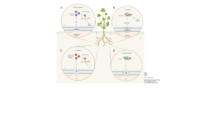 Format JPG 929x619 avec bande blanche 1/4 en bas