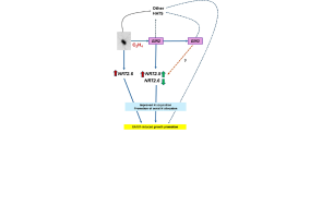 Format JPG 929x619 avec bande blanche 1/4 en bas