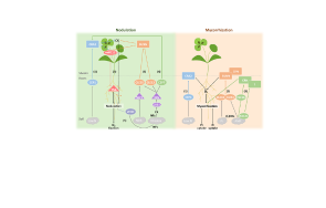 Format JPG 929x619 avec bande blanche 1/4 en bas