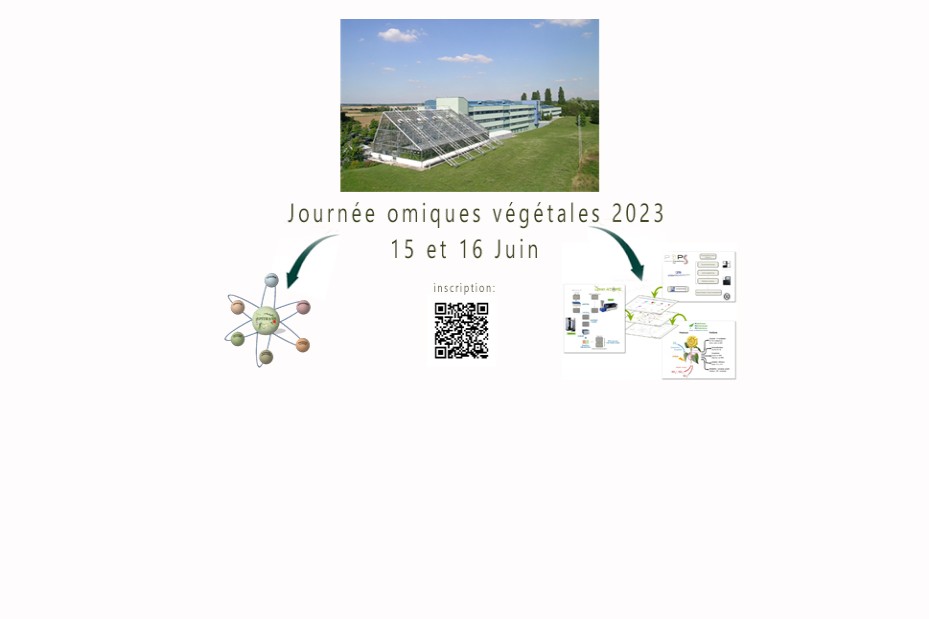 Format JPG 929x619 avec bande blanche 1/4 en bas