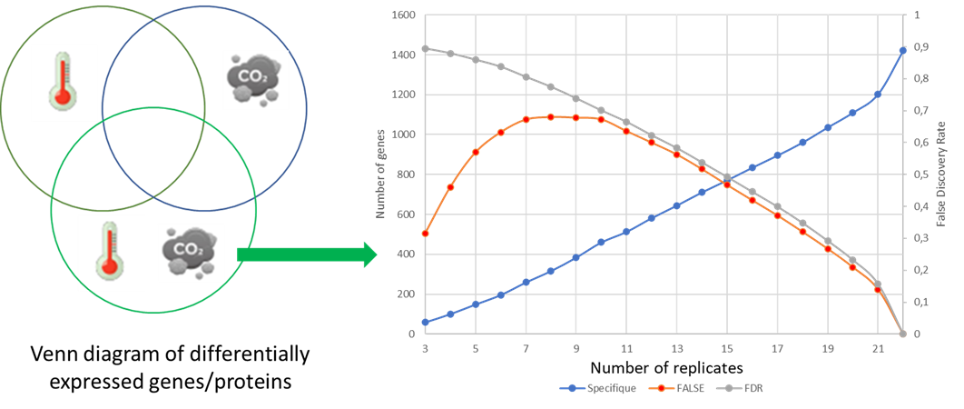Evolution of the number of true and false specific DEGs as a function of the number of replicates. (Left) Venn diagram of DEGs under single and combined stress conditions; (Right) Number of genes correctly identified as specific (blue), falsely identified as specific (red), and falsely identified as differentially ex-pressed (gray) as a function of the number of replicates.