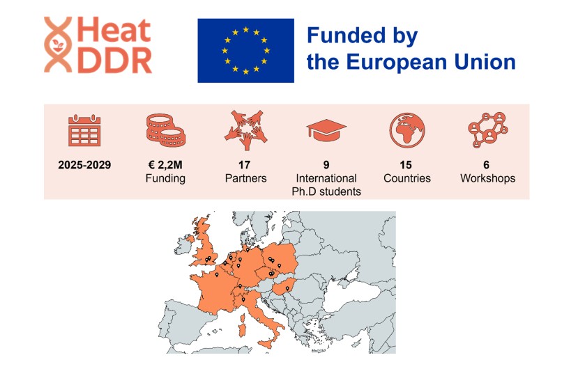 HeatDDR is funded by the European Union. Views and opinions expressed are however those of the author(s) only and do not necessarily reflect those of the European Union. Neither the European Union nor the granting authority can be held responsible for them.