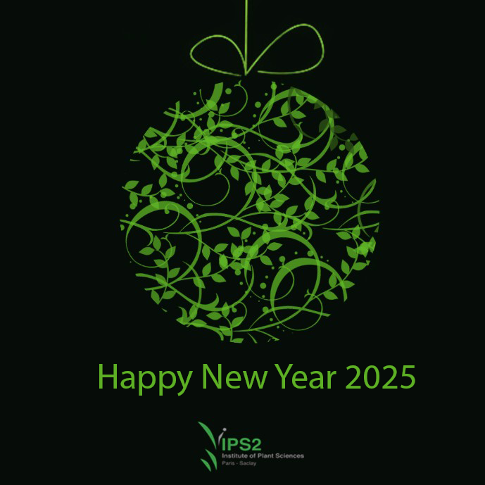 Happy New Year 2025