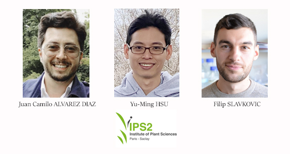 Thèses de doctorat soutenues à l'IPS2 durant l’été 2022