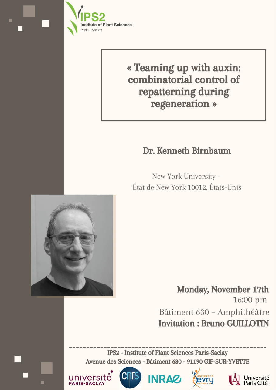 Dr. Kenneth Birnbaum