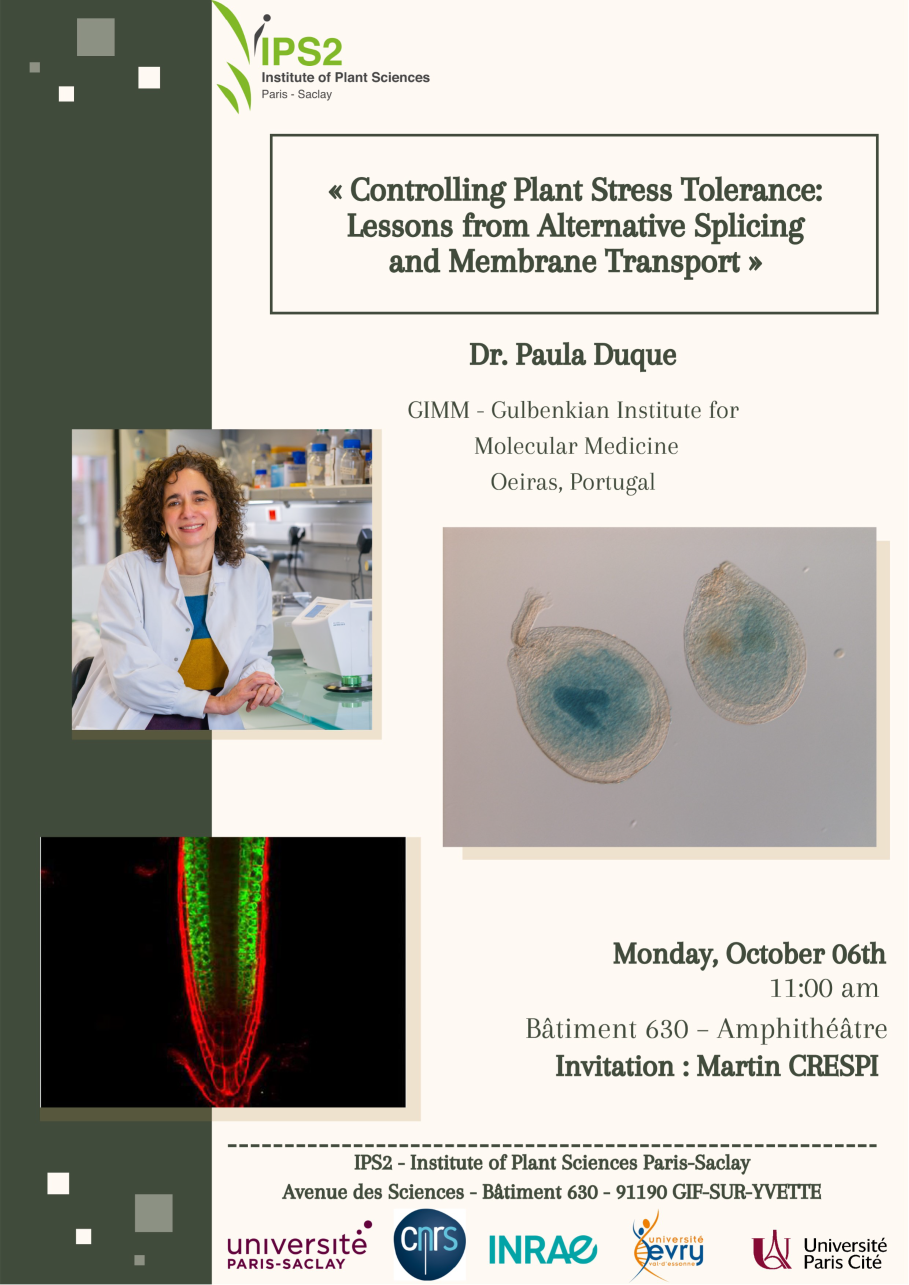 Dr. Paula Duque