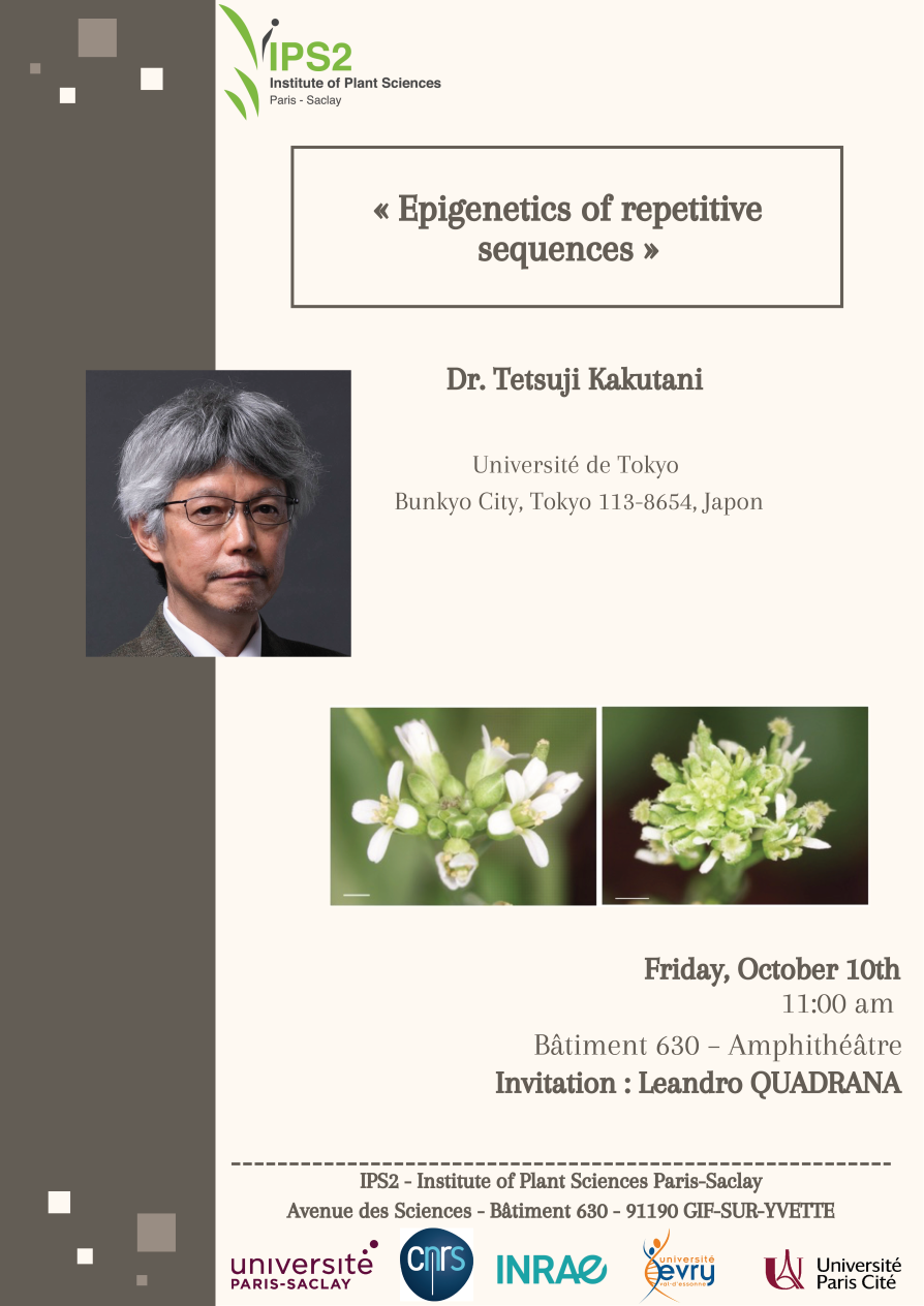 Dr  Tetsuji Kakutani
