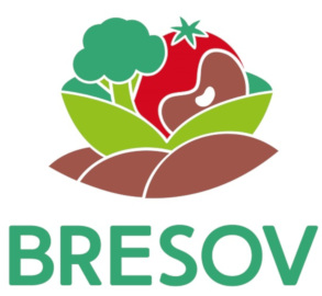 logo Bresov