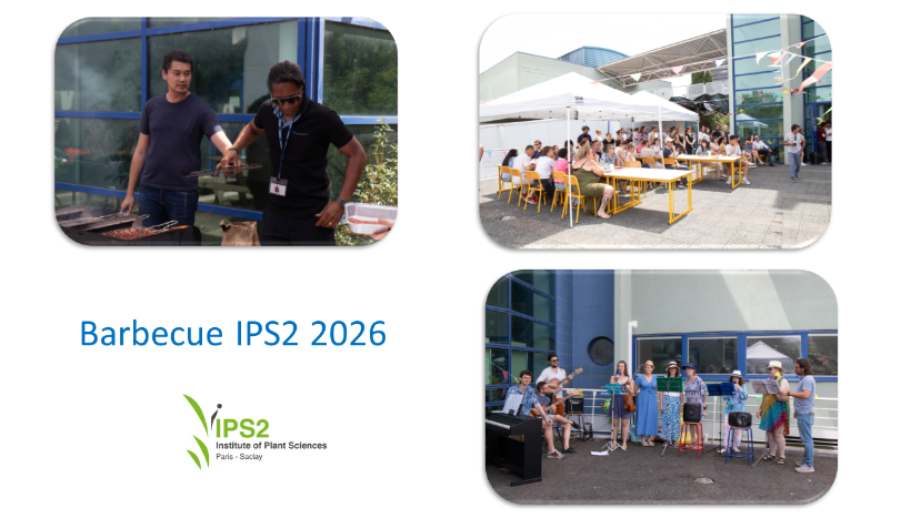 BBQ IPS2 2026