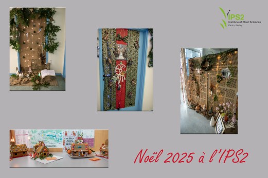 : No&euml;l &agrave; l&rsquo;IPS2