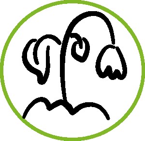 axis1