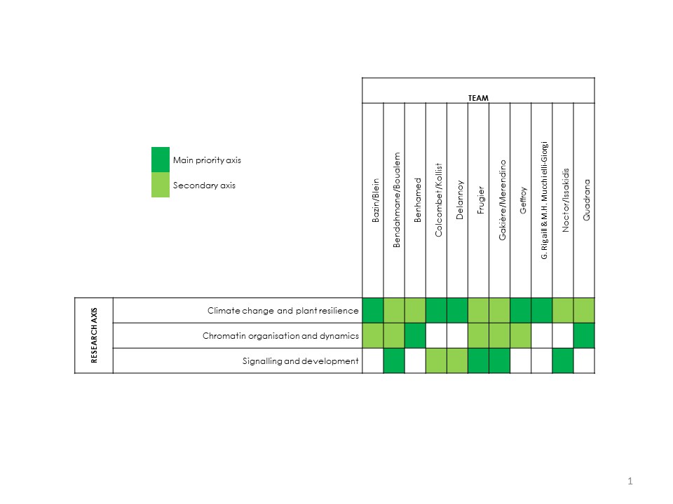 Breakdown of teams by research areas